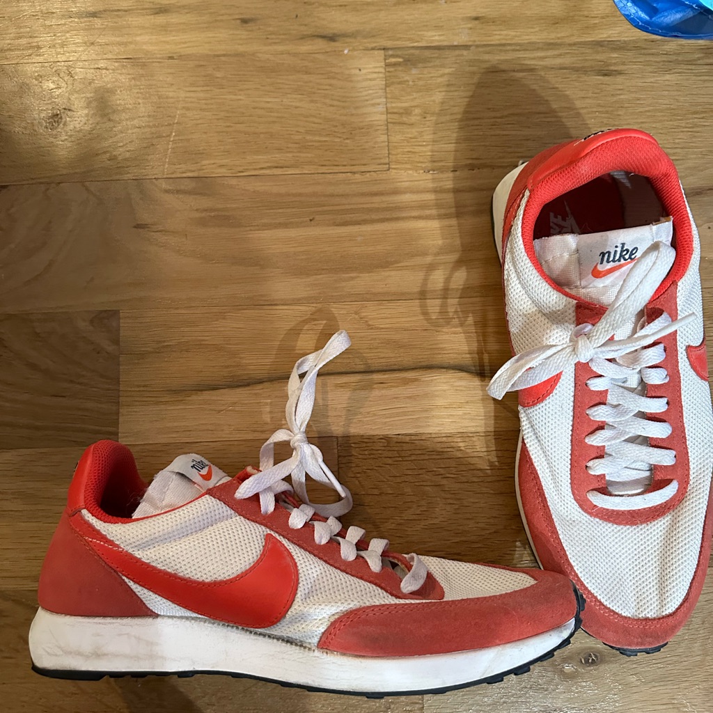 Nike Daybreak Shoes